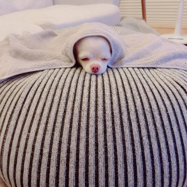 F5a042e5 c2fe 4367 9faa cceb97f61007 1693025873433