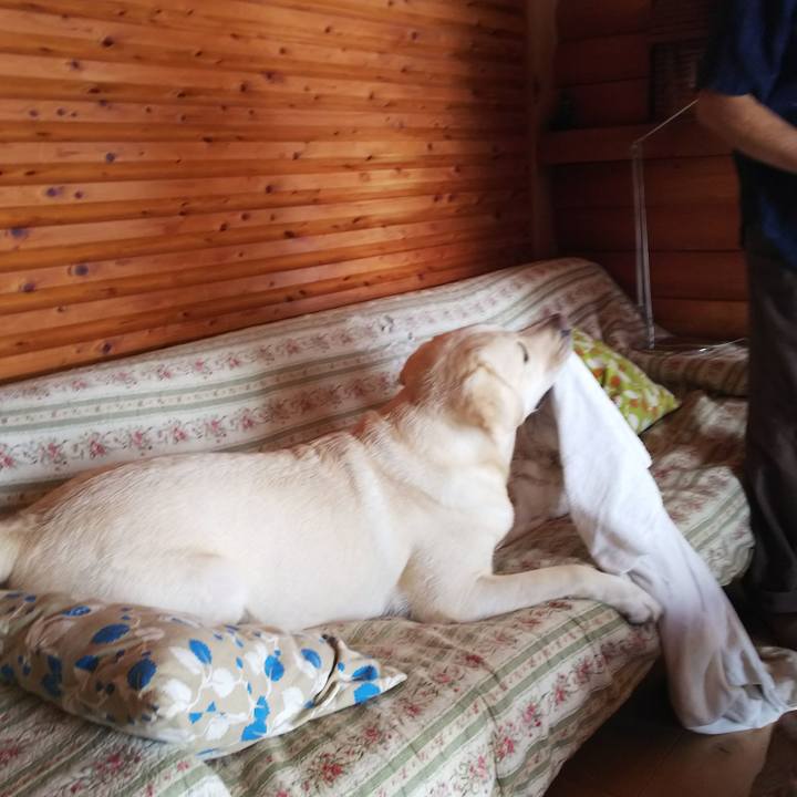 F5a07219 9580 4624 a3ab b876bb903d13 1536458230383