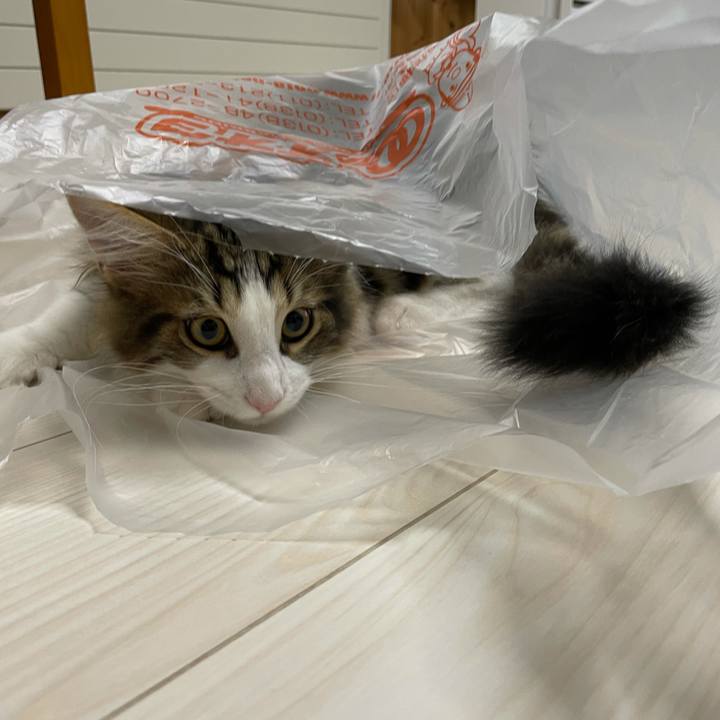 F5a07631 645f 41c5 a5df a1c6104a1b43 1635028182729