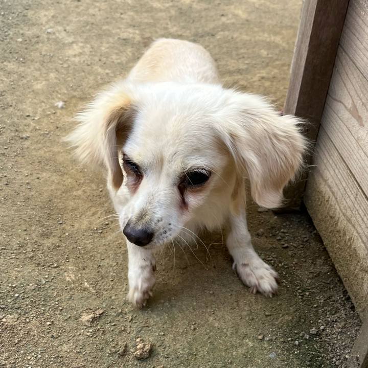 F5a0bdf8 066d 4844 9dc8 fab6174d1e12 1703158689473