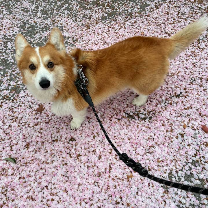 F5a0f942 ce3f 4157 a73d 3a299c267ef9 1775531910627