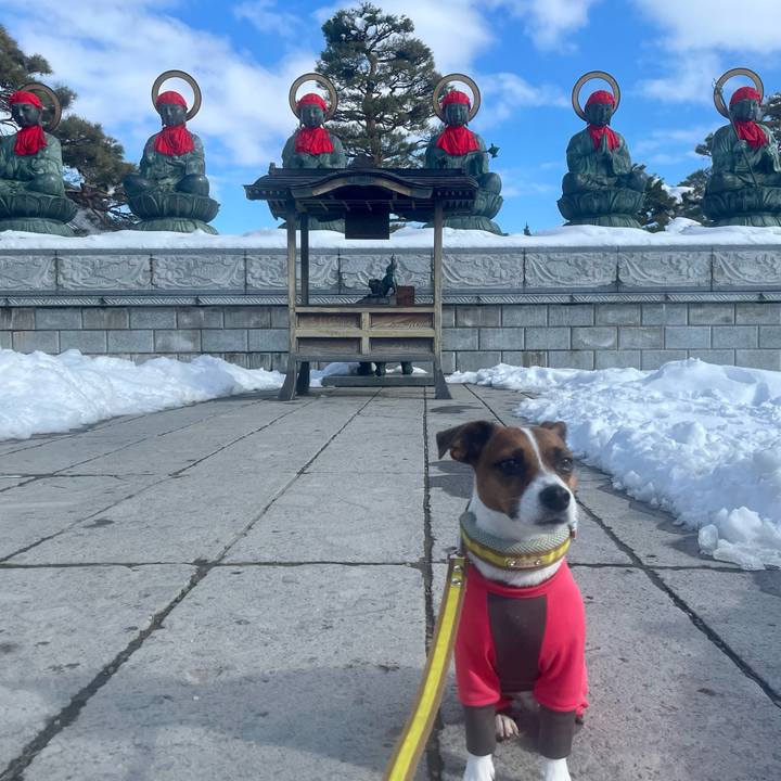 F5a14343 5c2c 4c6b aa23 183daa8b3ff5 1643007153474