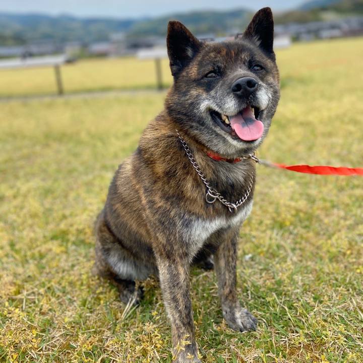 F5a14db2 b010 4126 973c e086ee8719e2 1589002924519