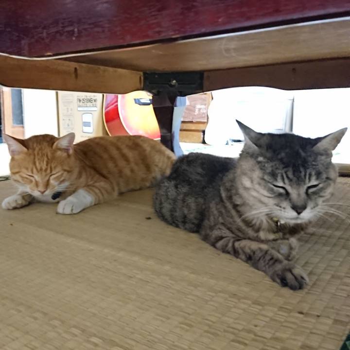 F5a16d47 0420 481a 8674 b0f2e37cf927 1566304555387