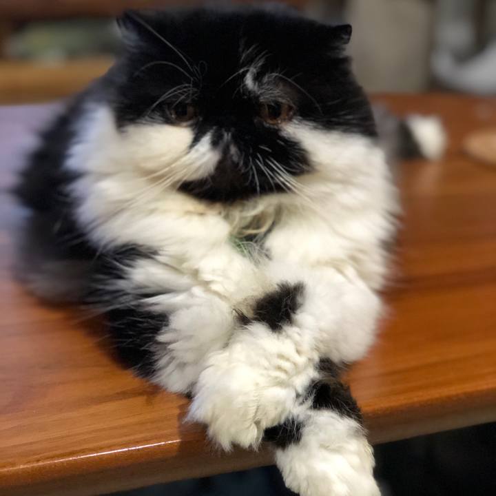 F5a19354 5761 4940 b800 9aea28a430a8 1562235283307