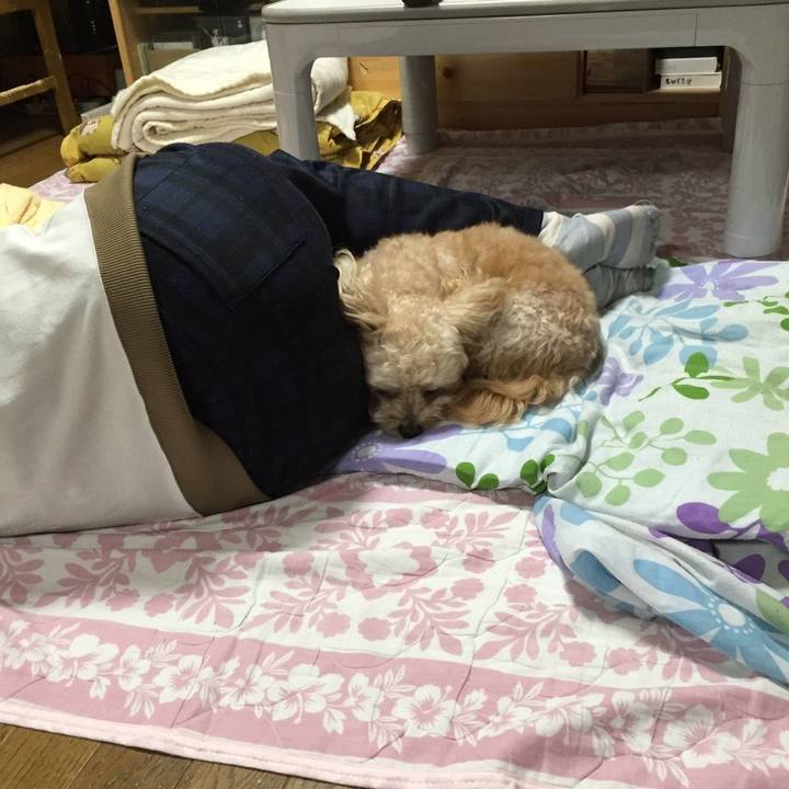 F5a1b89b c4c8 449c 91c6 031a2deab663 1539267255576