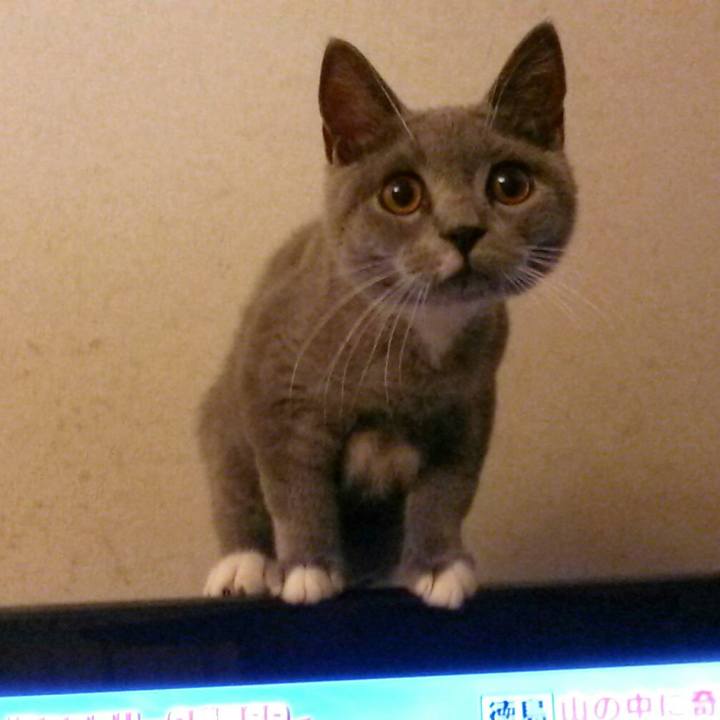 F5a1c3a0 5aa1 439b b3fe 987c40900151 1536145062091