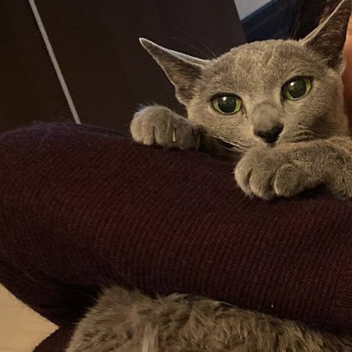 F5a1cac8 d0ce 4484 92f3 1ff5590f7b27 1578352877521