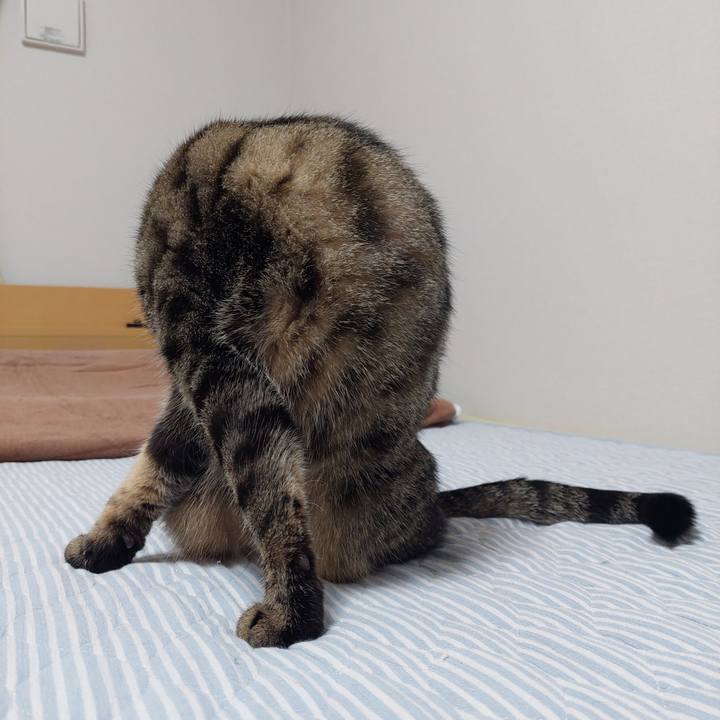 F5a1d592 6546 4301 8356 8e1a0767cb0e 1627939412486