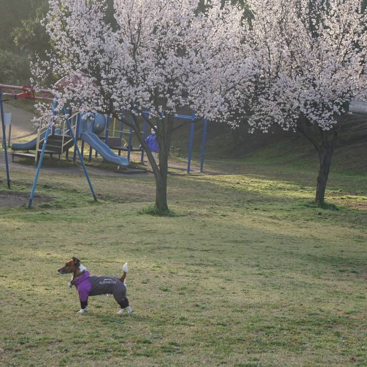 F5a1db69 649e 4f29 a7fc 5d0b72d64375 1583881715928