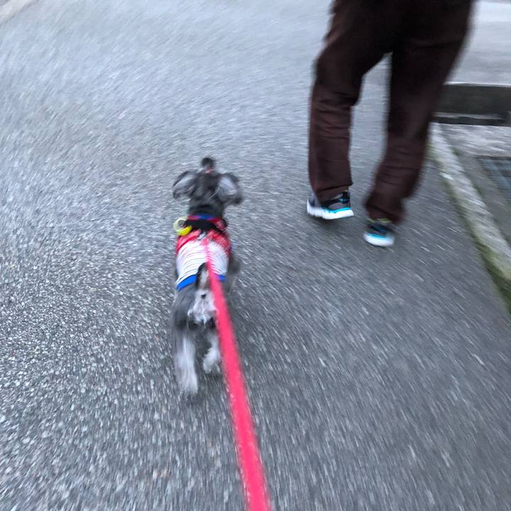 F5a1dbe3 0c3a 4bba 8597 ec5487fcc346 1521889316773