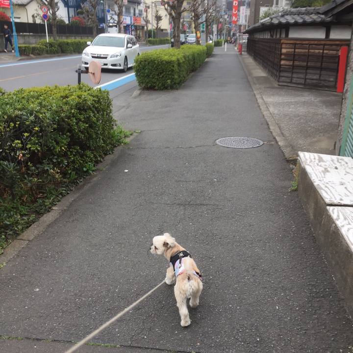 F5a1f0f2 3b24 46cc b844 eb6353deb958 1553927786168