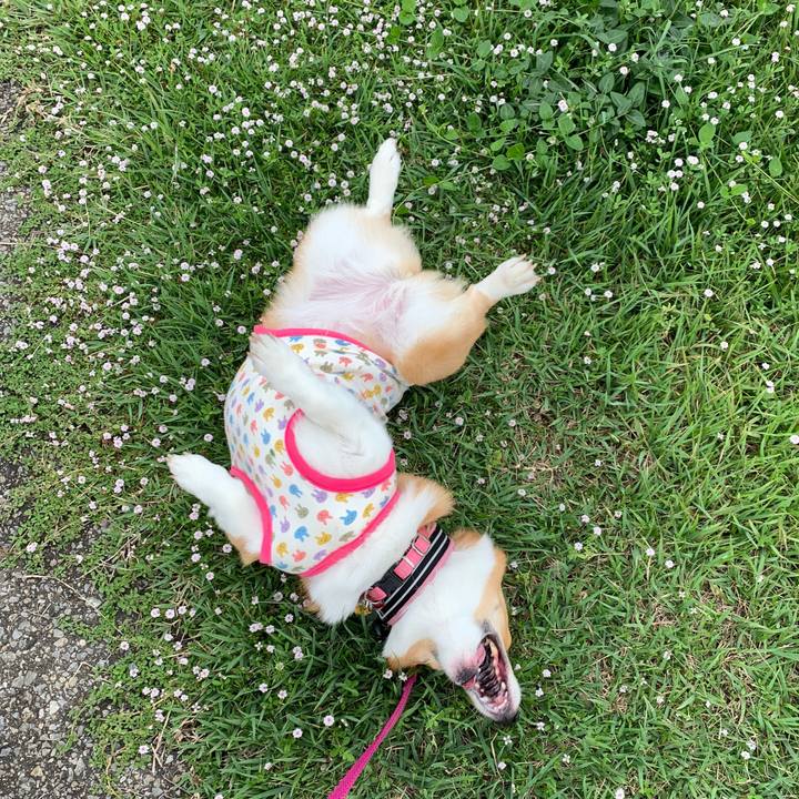 F5a1f8d8 895b 40b6 9471 66e3681e2d4d 1562151154948