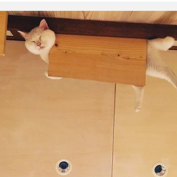 F5a25602 319e 4848 961f 95ce925eeb2e 1559827531059