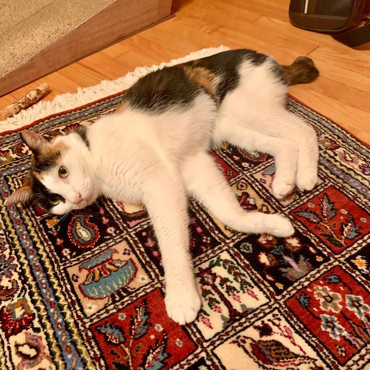 F5a29819 9752 4899 815b 7ddffaf21684 1597838540503