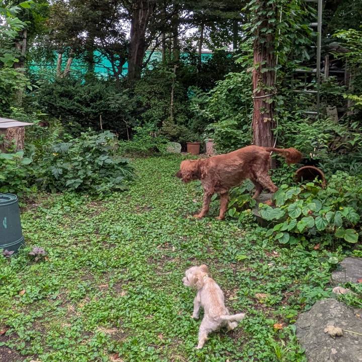 F5a2b31a f941 40fd 811e fbc9c6adb042 1756176190998