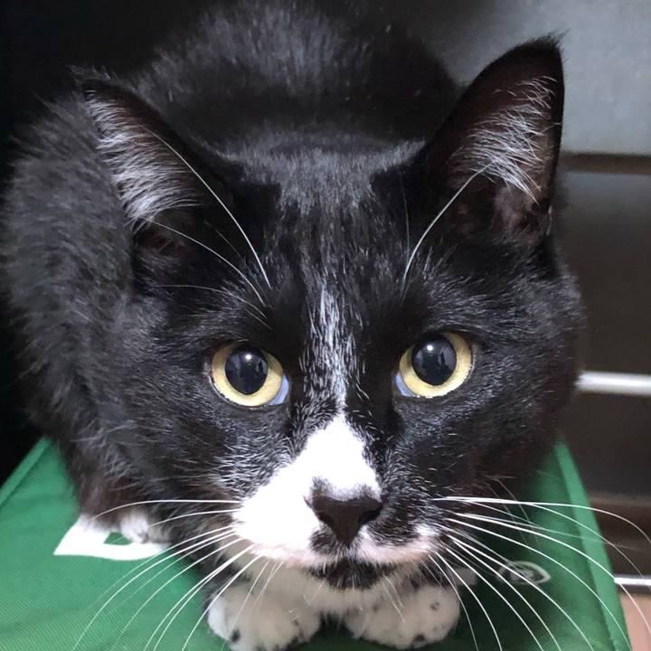 F5a2e570 42e0 4f2e 9978 d82828625f6a 1642995705589