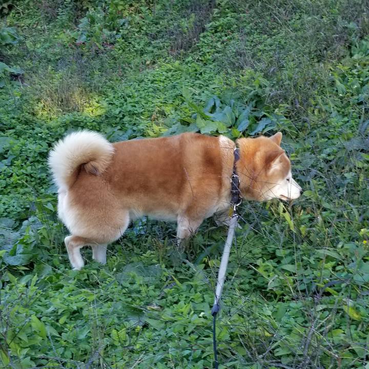 F5a2f985 3a86 4120 9aed 3cc87d8ca193 1636179768144