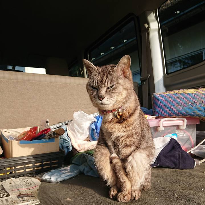 F5a33182 aaa3 44a2 bea2 f10603671bdb 1591131274803