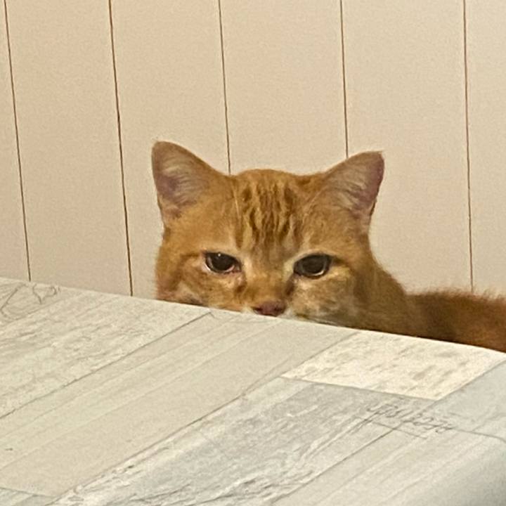 F5a337c3 2c28 4893 8d9d 5b5a6f2eae37 1647879031446