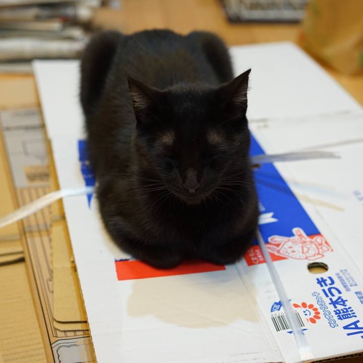 F5a37f1c 28d5 41ce 91c6 7a337de40361 1553178567708