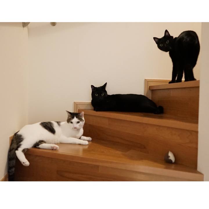 F5a3843d 5899 4f0a a3cc 4943fa056c0d 1559174127622