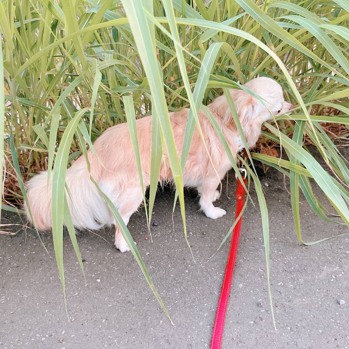 F5a3c3cb 97ab 475d b340 346a16dde702 1659434547403