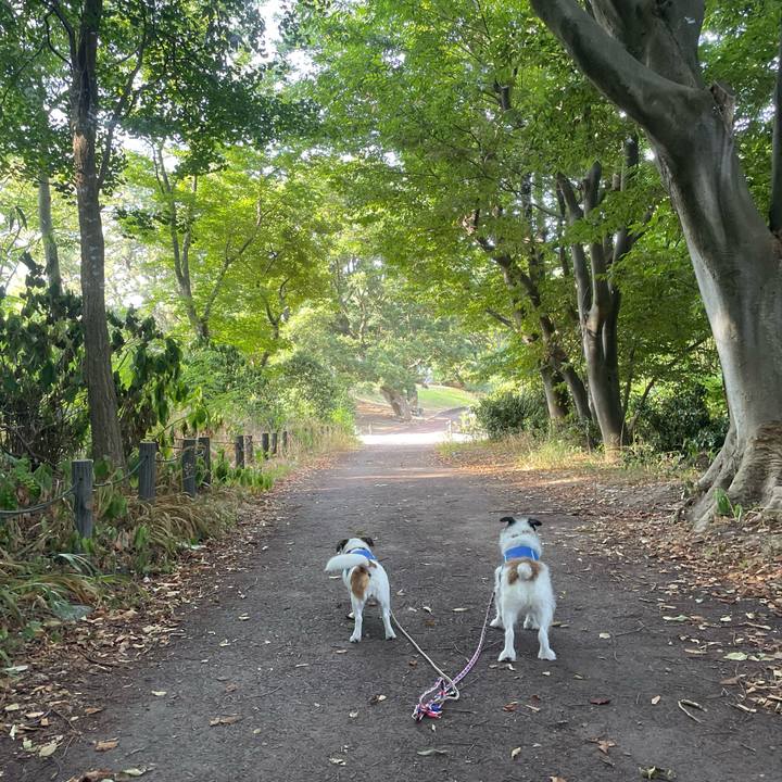 F5a3de8f 6be3 4fe2 9233 cc1c1d0a50c9 1754262062877