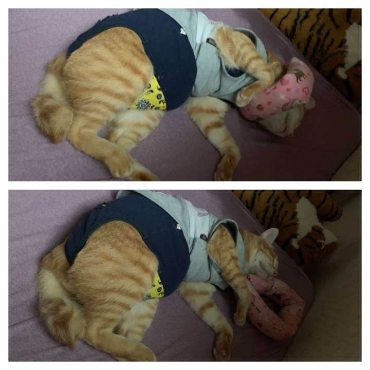 F5a3ea6f a94a 4c50 9c71 d480d3b413bb 1628416023122