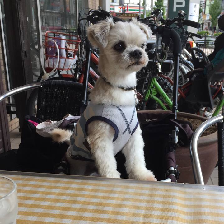 F5a40530 4eb1 441c b35e 7b17d3f3f10f 1538971132188