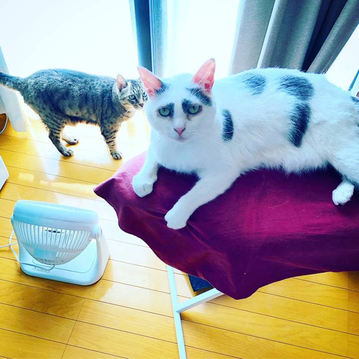 F5a41304 e759 4022 9133 9f70228e81de 1534210996996