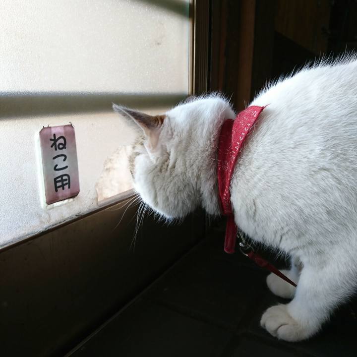 F5a43529 f50c 40c2 8b7a f9c598d0b58d 1525931354297