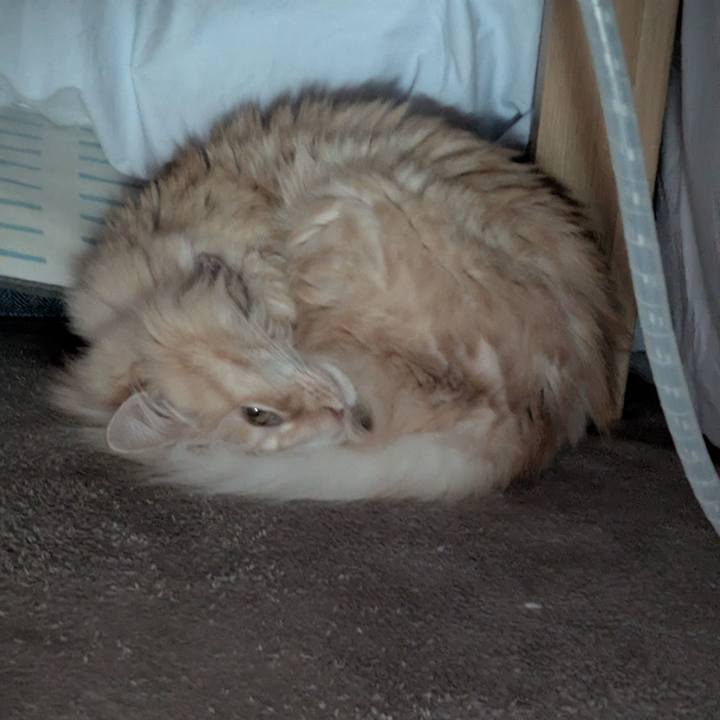 F5a4566e fe3b 40f1 9465 c3aad27d806c 1765076383328