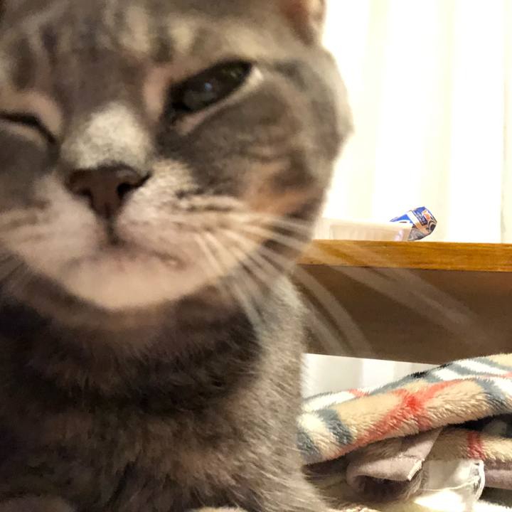 F5a48c16 b01d 4d77 b61d 0a26505539fb 1560774134835