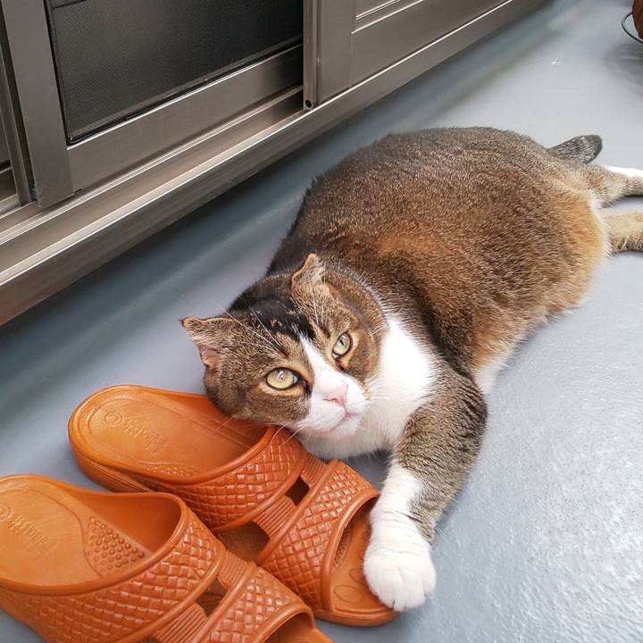 F5a4953a e943 4759 b284 ab4518c029fa 1623459225420