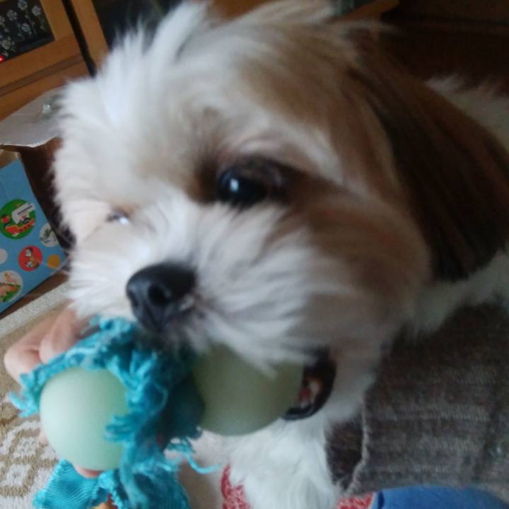 F5a4f289 ee2f 4d91 b30c 1c9afae2a1e6 1510791315794