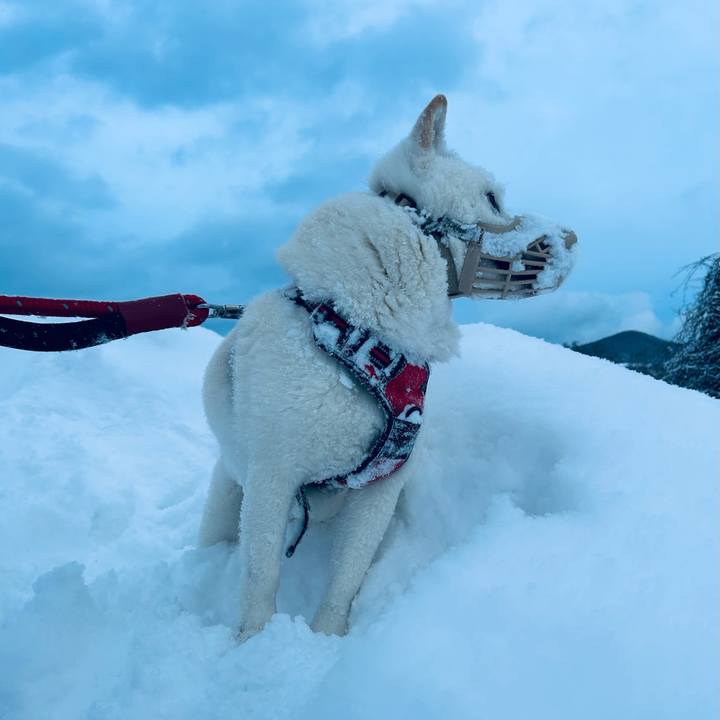 F5a51a16 98f0 4682 a5a4 4408b13cbb62 1703555165757