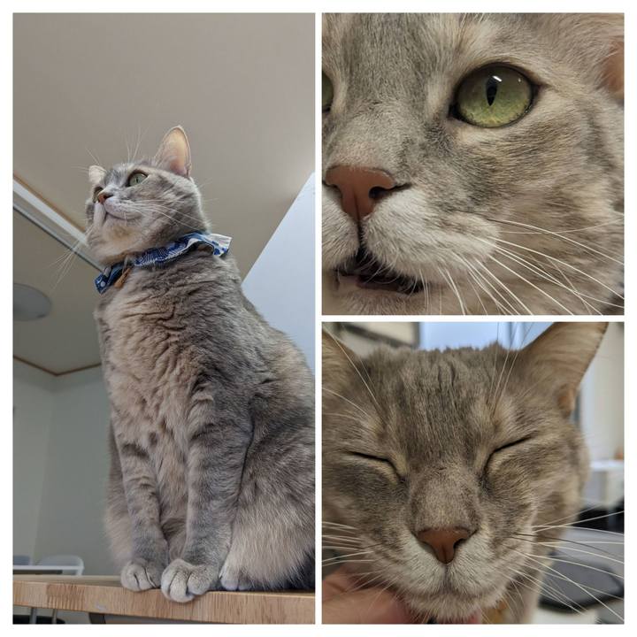 F5a5296d ee09 45f3 b4fd 206a0ee8d957 1672891555608