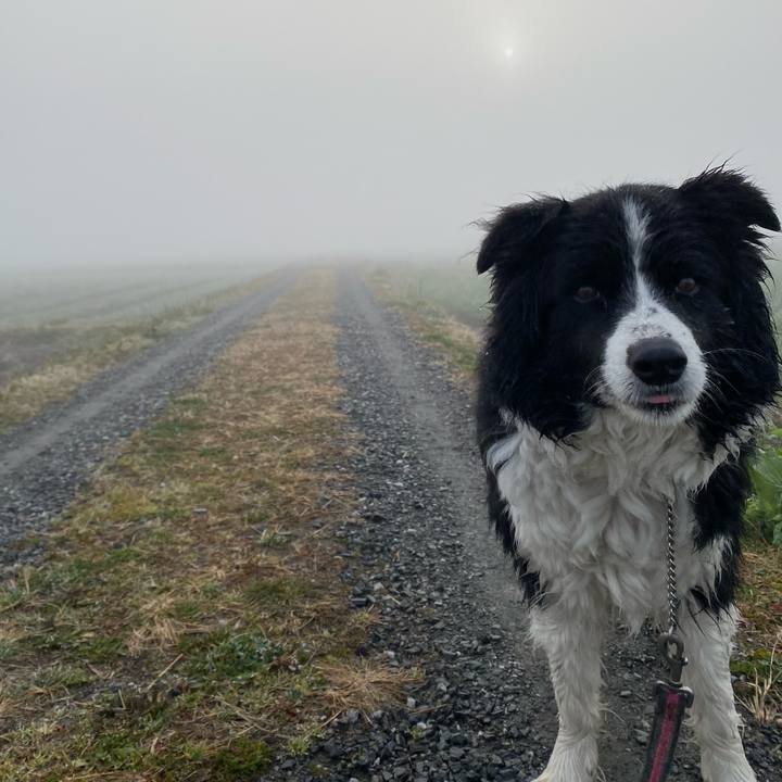 F5a5313c fca9 414b 968e ee94c31a0bbb 1646176432274