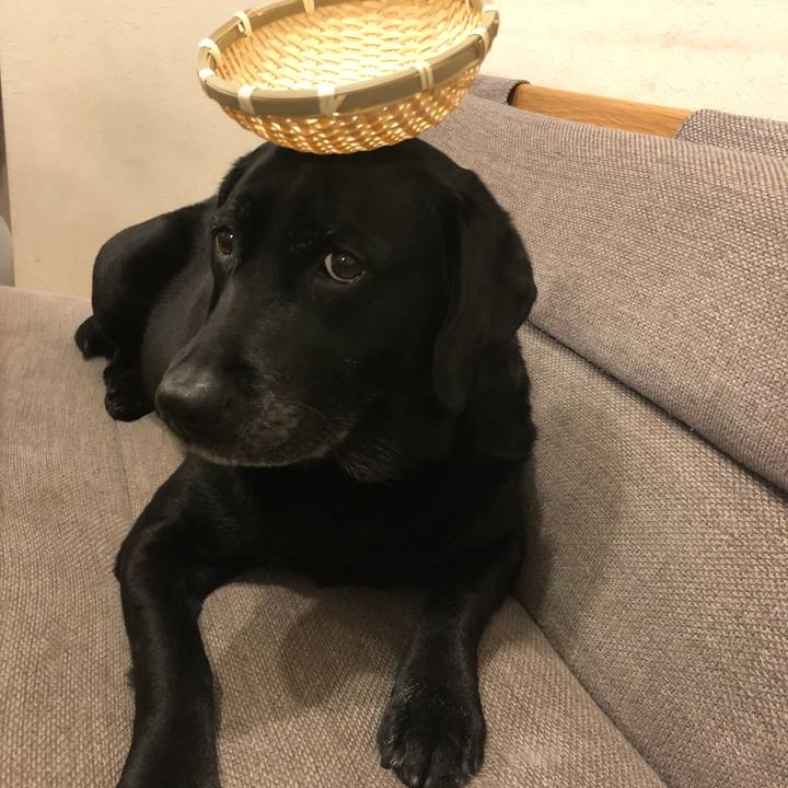 F5a53999 1577 42e1 99e0 4e57f85fe6e4 1521029168731