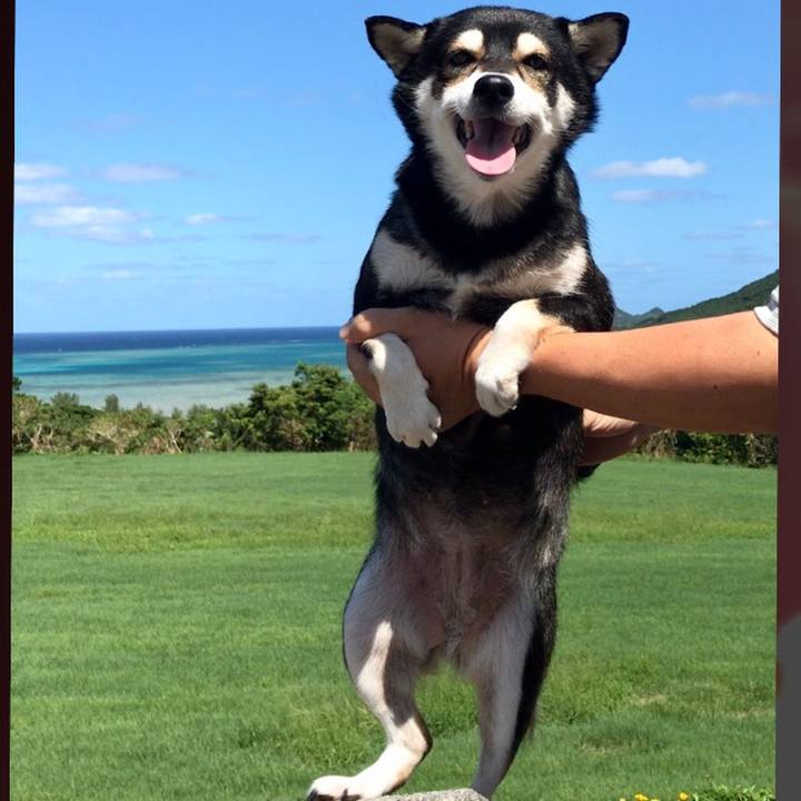 F5a53ddb e97f 43cf ba78 969e1d09ec1e 1570674097900