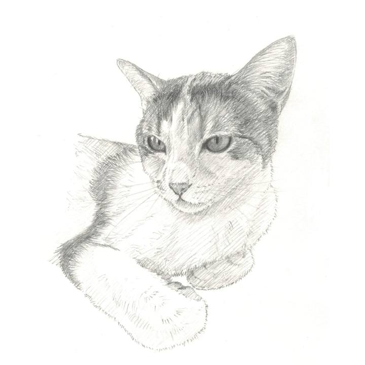 F5a54681 8c0f 468c bc7f 7791908a9cb5 1541509683157