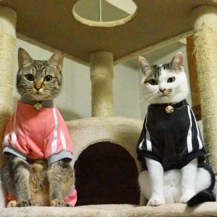F5a59cb8 fb62 4e78 b3f9 312d688bf013 1569664286100