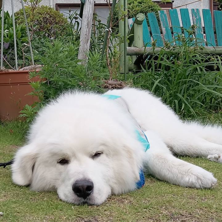 F5a5c4a0 e5ca 49bf 93c1 f045f15b6695 1717068198400