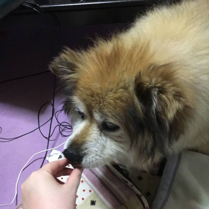 F5a60571 59b3 40cc b9b9 f9264aa5b5bb 1582449159159