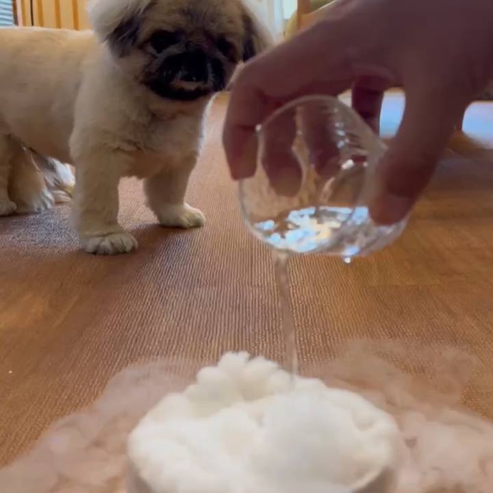 F5a61b9f 5c37 431d a988 d31705403875 1725313288927