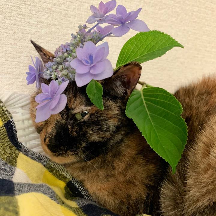 F5a654bc 1a7a 4167 ba5a e6dac0eb619e 1561132511218