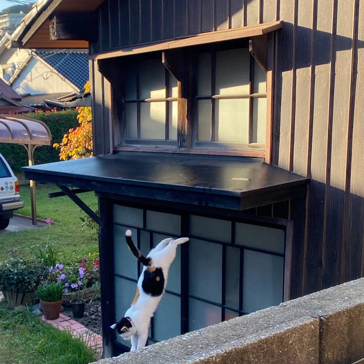 F5a6ee97 f2a2 476d a116 591f196e862c 1636247904704