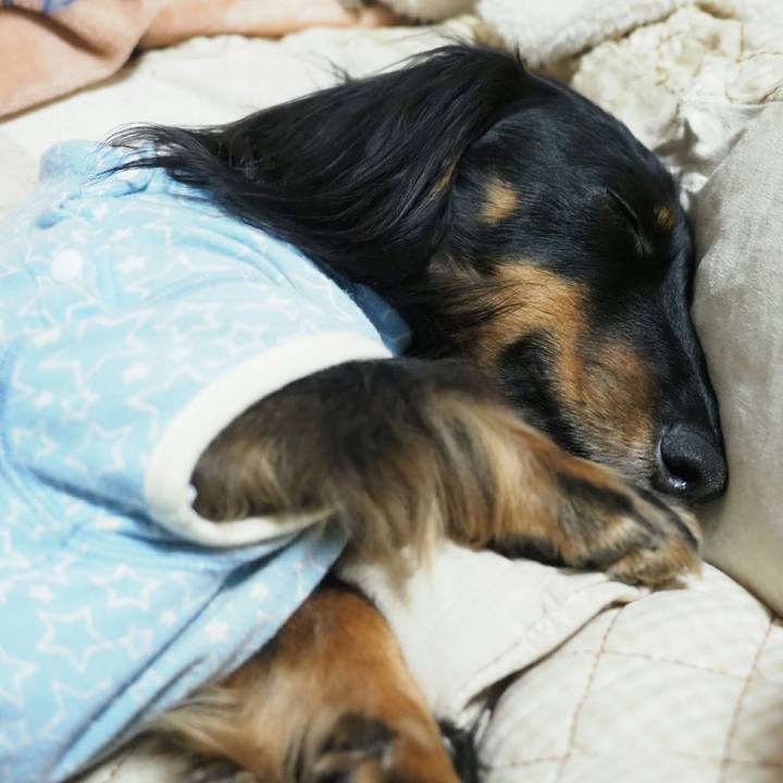 F5a71341 5fb1 45a1 bfd5 fbc06c5de0a7 1552920473440