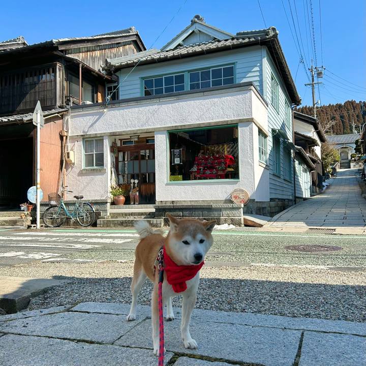 F5a75818 2f3b 4760 8405 0f499daec563 1739610100221